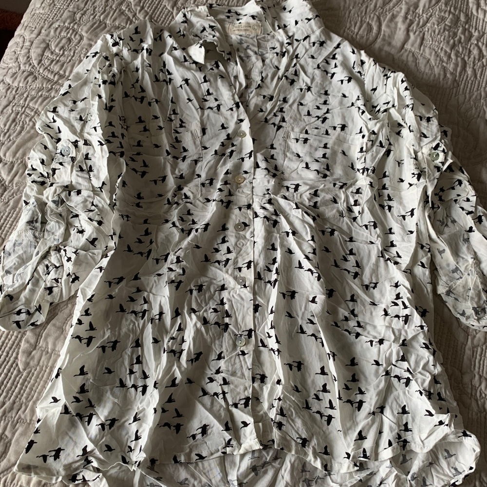 Button up top with birds